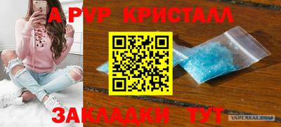стаф Берёзовский