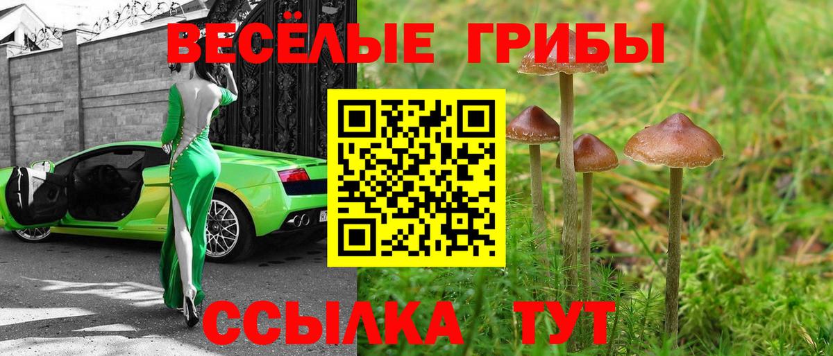 Кимовск  Галлюциногенные грибы прущие грибы  Вход с VPN 